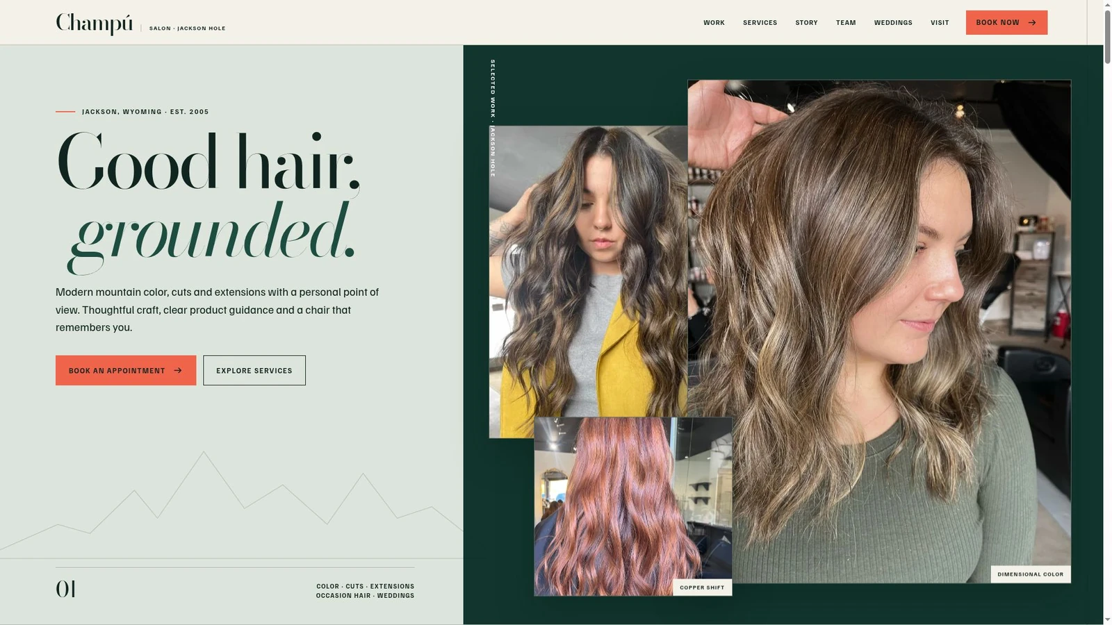 Champú Salon website homepage with a collage of dimensional hair color